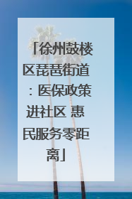 徐州鼓楼区琵琶街道：医保政策进社区 惠民服务零距离