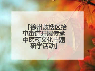 徐州鼓楼区拾屯街道开展传承中医药文化主题研学活动