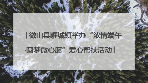 微山县驩城镇举办“浓情端午·圆梦微心愿”爱心帮扶活动
