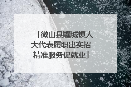 微山县驩城镇人大代表履职出实招精准服务促就业