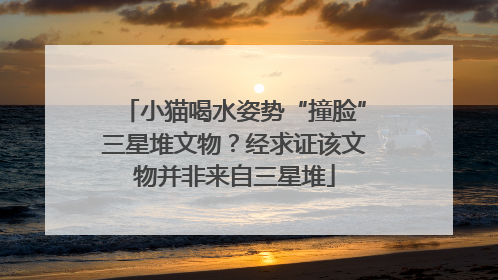 小猫喝水姿势“撞脸”三星堆文物？经求证该文物并非来自三星堆