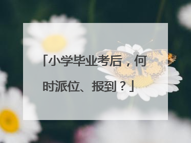 小学毕业考后，何时派位、报到？