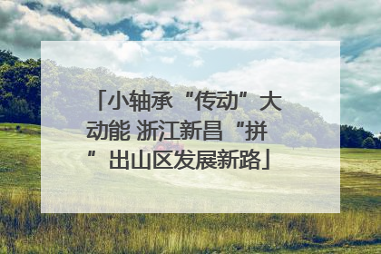 小轴承“传动”大动能 浙江新昌“拼”出山区发展新路