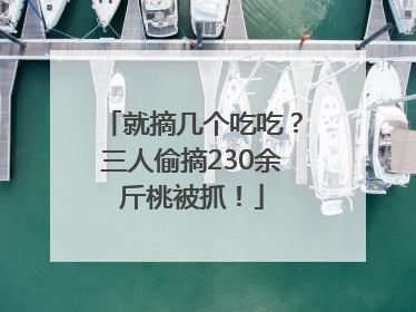 就摘几个吃吃？三人偷摘230余斤桃被抓！