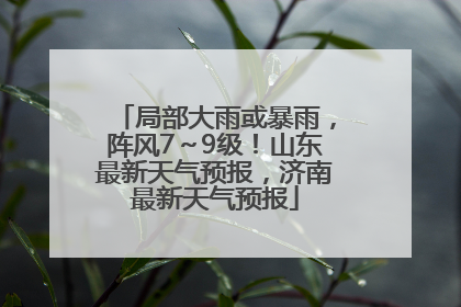 局部大雨或暴雨，阵风7～9级！山东最新天气预报，济南最新天气预报