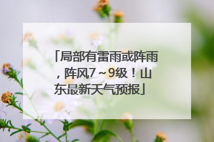 局部有雷雨或阵雨，阵风7～9级！山东最新天气预报