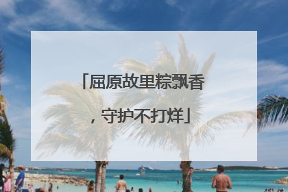 屈原故里粽飘香，守护不打烊