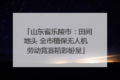 山东省乐陵市：田间地头 全市植保无人机劳动竞赛精彩纷呈