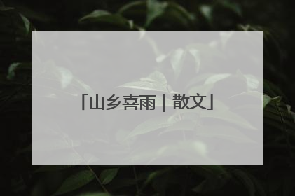 山乡喜雨｜散文