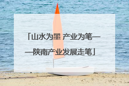 山水为墨 产业为笔——陕南产业发展走笔