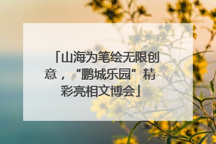 山海为笔绘无限创意，“鹏城乐园”精彩亮相文博会