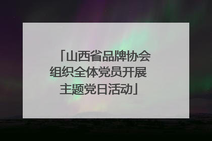 山西省品牌协会组织全体党员开展主题党日活动