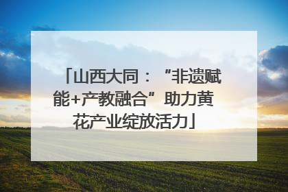 山西大同：“非遗赋能+产教融合”助力黄花产业绽放活力
