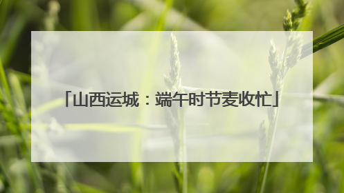 山西运城：端午时节麦收忙