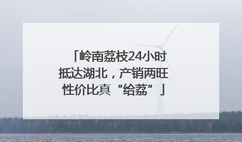 岭南荔枝24小时抵达湖北，产销两旺性价比真“给荔”