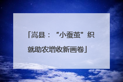 嵩县：“小蚕茧”织就助农增收新画卷