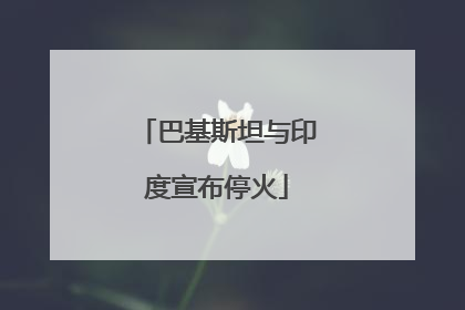 巴基斯坦与印度宣布停火