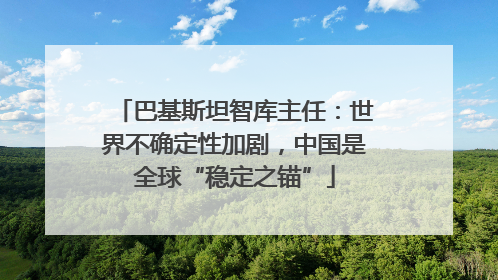 巴基斯坦智库主任：世界不确定性加剧，中国是全球“稳定之锚”