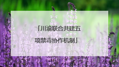 川渝联合共建五项禁毒协作机制