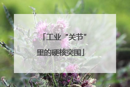 工业“关节”里的硬核突围