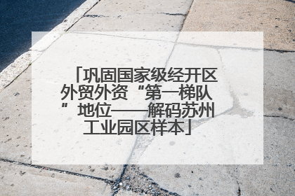 巩固国家级经开区外贸外资“第一梯队”地位——解码苏州工业园区样本