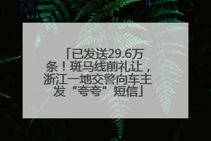 已发送29.6万条！斑马线前礼让，浙江一地交警向车主发“夸夸”短信