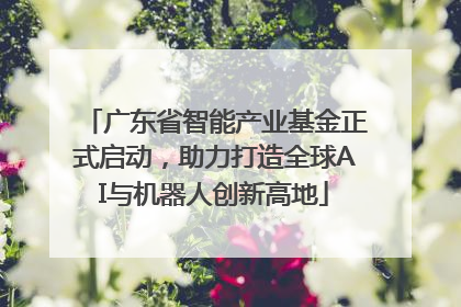 广东省智能产业基金正式启动，助力打造全球AI与机器人创新高地