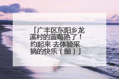 广丰区东阳乡龙溪村的蓝莓熟了！约起来 去体验采摘的快乐（图）