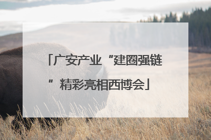 广安产业“建圈强链”精彩亮相西博会