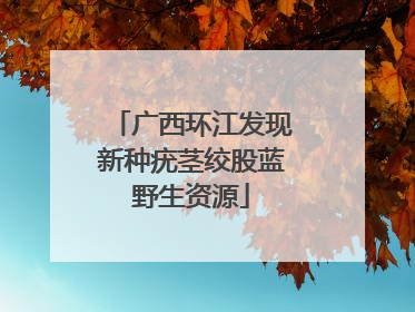 广西环江发现新种疣茎绞股蓝野生资源