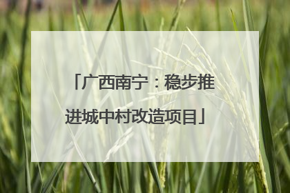 广西南宁：稳步推进城中村改造项目