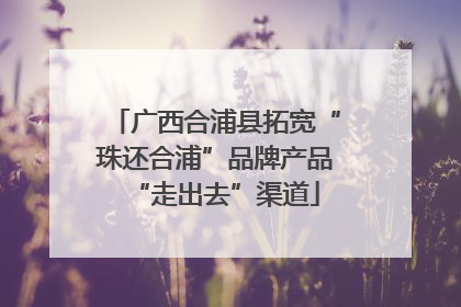 广西合浦县拓宽“珠还合浦”品牌产品“走出去”渠道