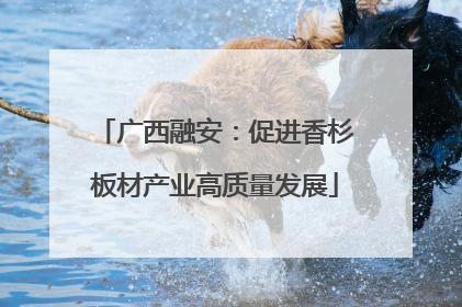 广西融安：促进香杉板材产业高质量发展