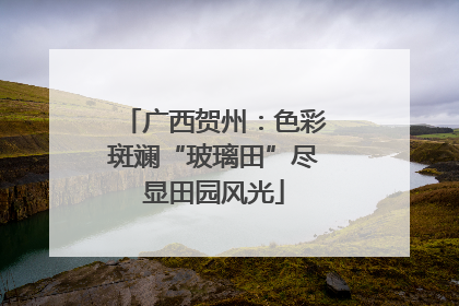 广西贺州：色彩斑斓“玻璃田”尽显田园风光