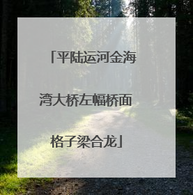平陆运河金海湾大桥左幅桥面格子梁合龙