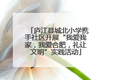 庐江县城北小学携手社区开展“我爱我家，我爱合肥，礼让文明”实践活动