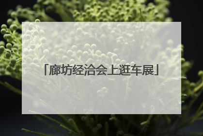 廊坊经洽会上逛车展
