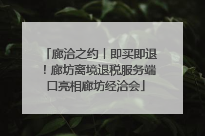 廊洽之约丨即买即退！廊坊离境退税服务端口亮相廊坊经洽会