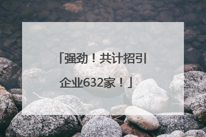 强劲！共计招引企业632家！
