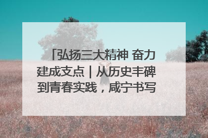 弘扬三大精神 奋力建成支点｜从历史丰碑到青春实践，咸宁书写精神传承新篇章