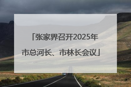 张家界召开2025年市总河长、市林长会议