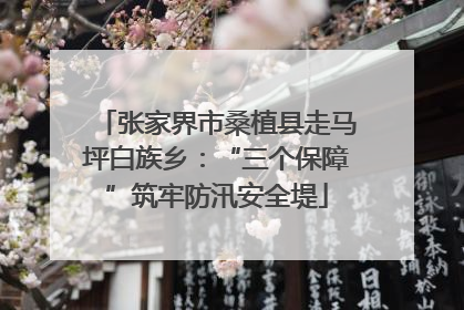 张家界市桑植县走马坪白族乡：“三个保障”筑牢防汛安全堤