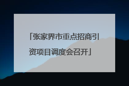 张家界市重点招商引资项目调度会召开