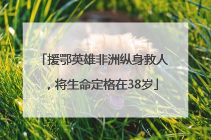 援鄂英雄非洲纵身救人，将生命定格在38岁