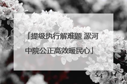 提级执行解难题 漯河中院公正高效暖民心