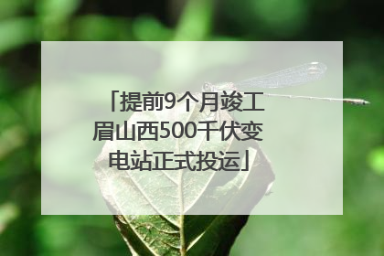 提前9个月竣工 眉山西500千伏变电站正式投运