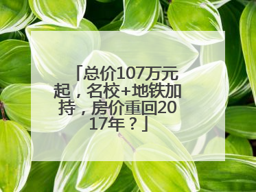 总价107万元起，名校+地铁加持，房价重回2017年？