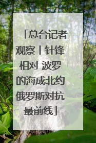 总台记者观察丨针锋相对 波罗的海成北约俄罗斯对抗最前线