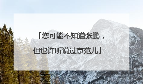 您可能不知道张鹏，但也许听说过京范儿