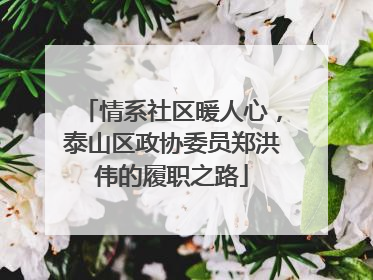 情系社区暖人心，泰山区政协委员郑洪伟的履职之路